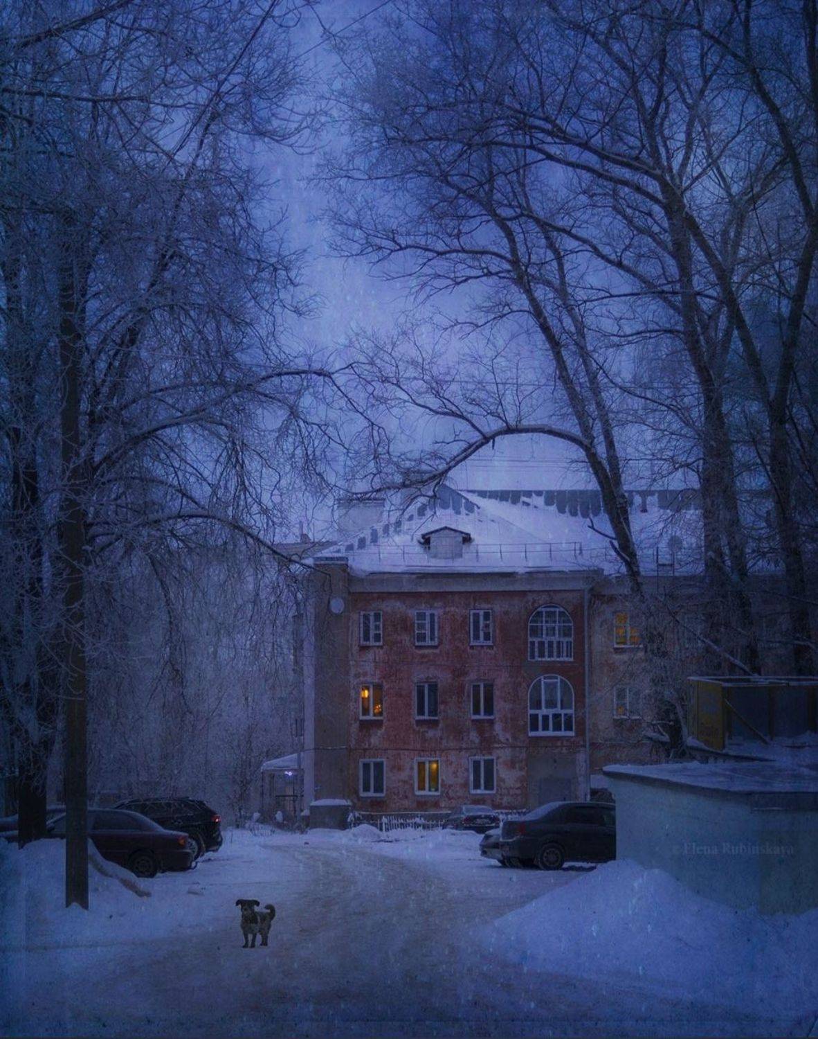 кострома, Елена Рубинская