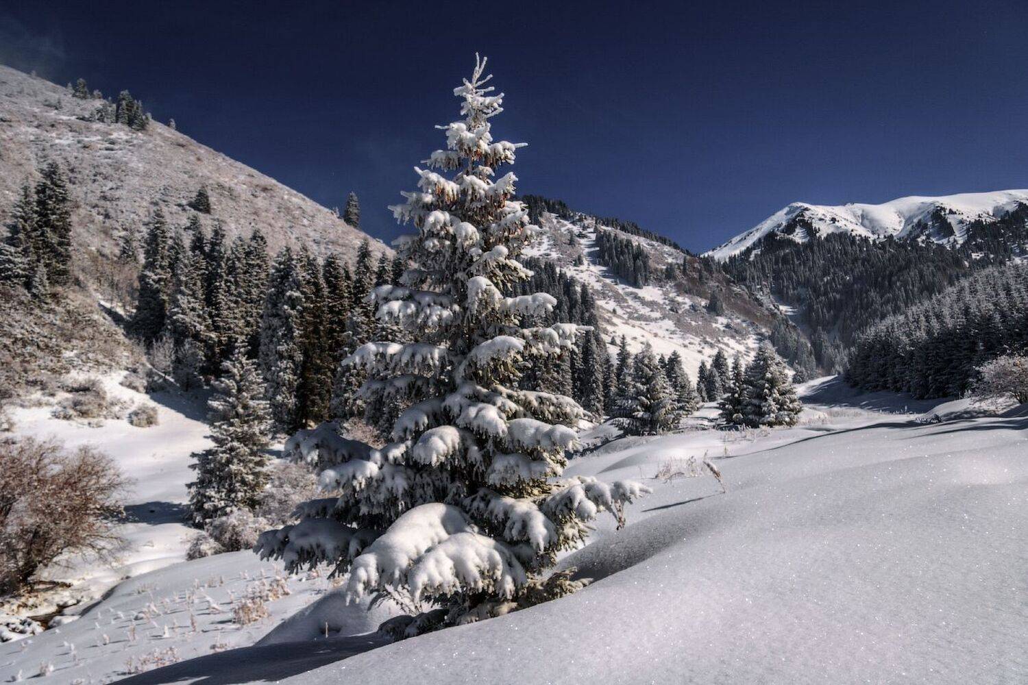 фото, архив, старое, Леонид Дьяченко
