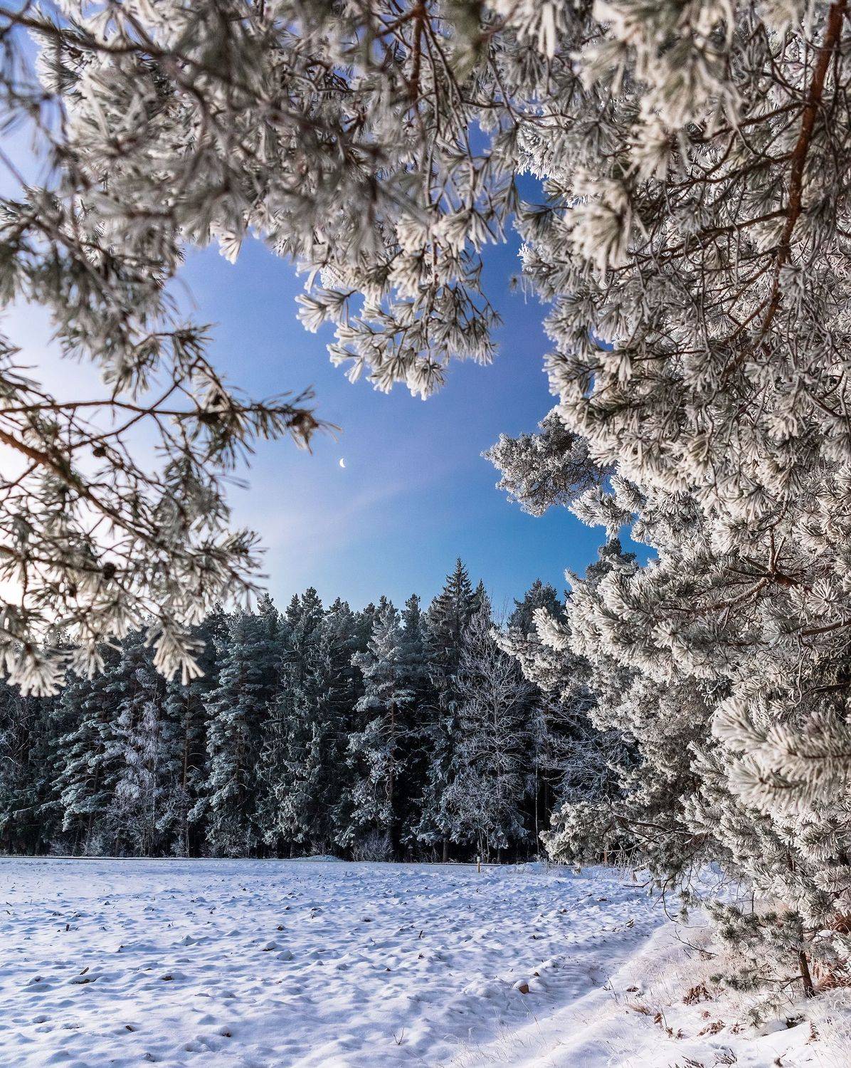 , Руслан Авдевич