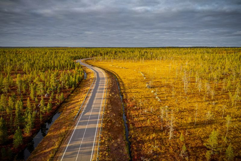 На Варзугу фото превью