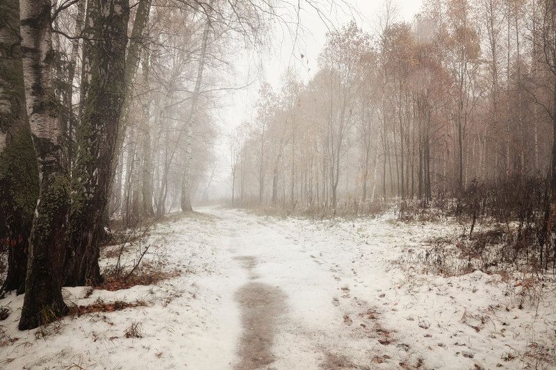 переходный сезон фото превью