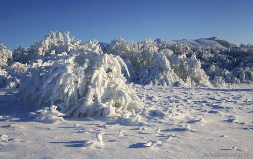 Нарядная зима