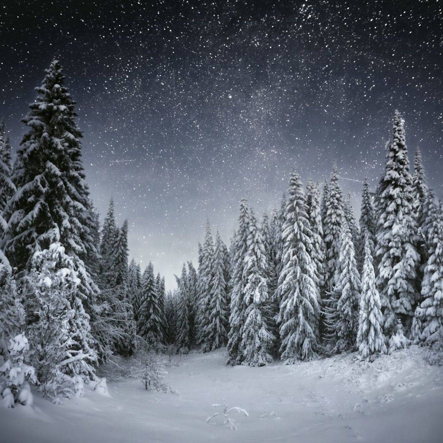 зима, звезды, Дмитрий Медянцев