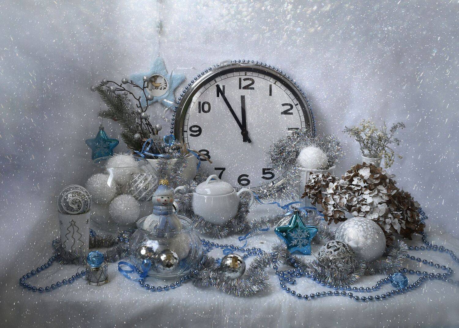 , Шипунова Ирина