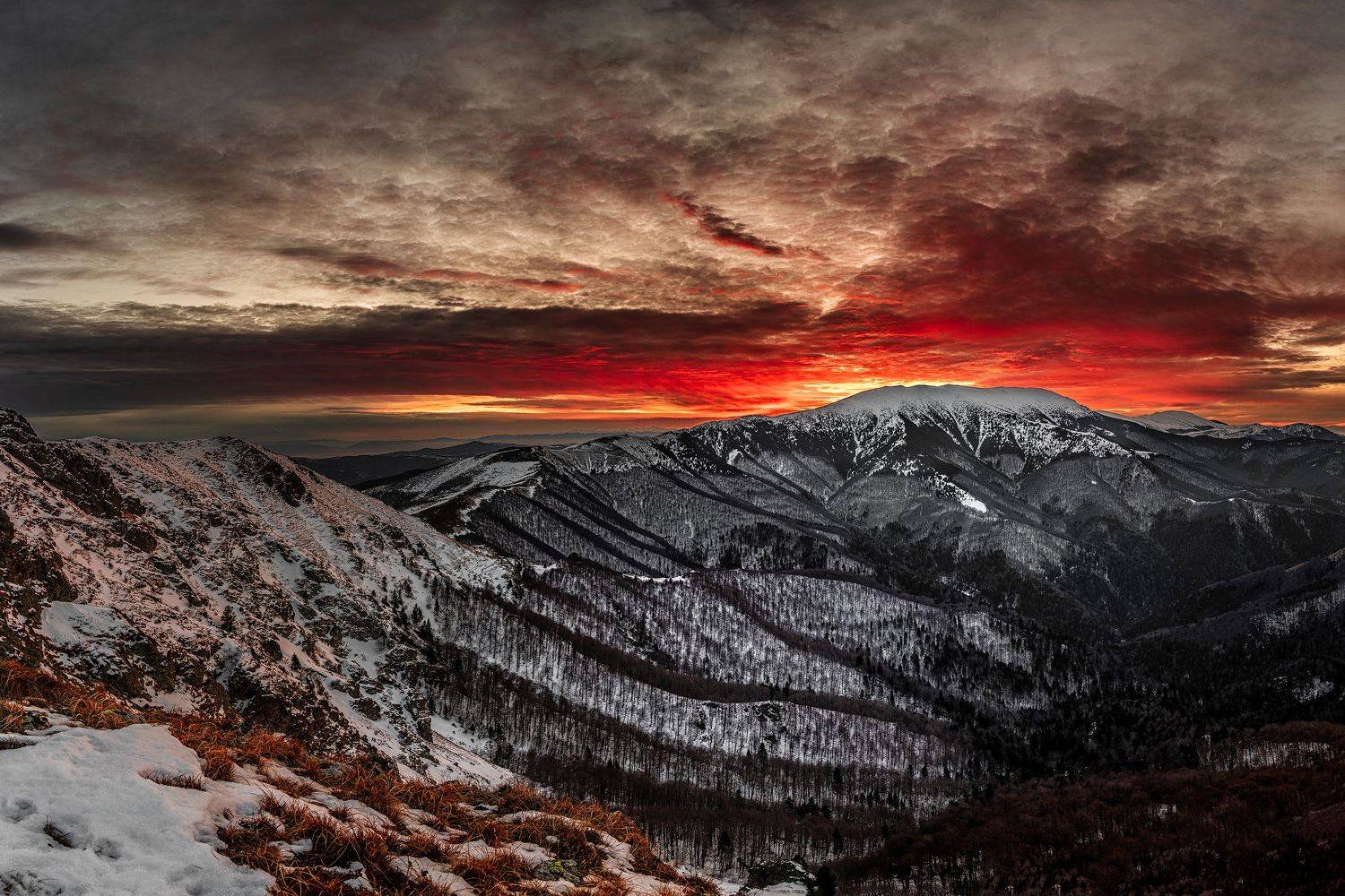 , Пламен Куденко