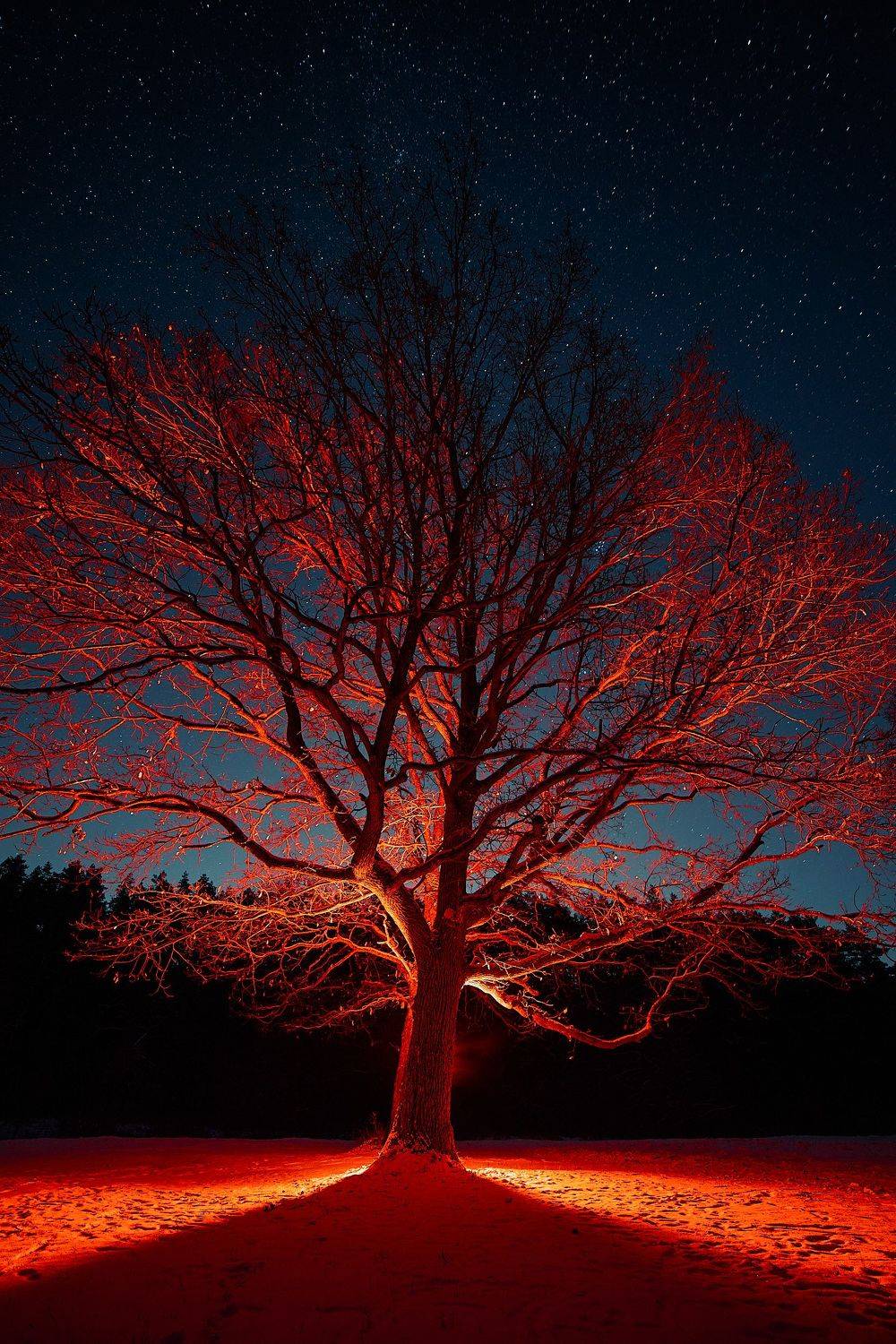 , Александр Фанковин