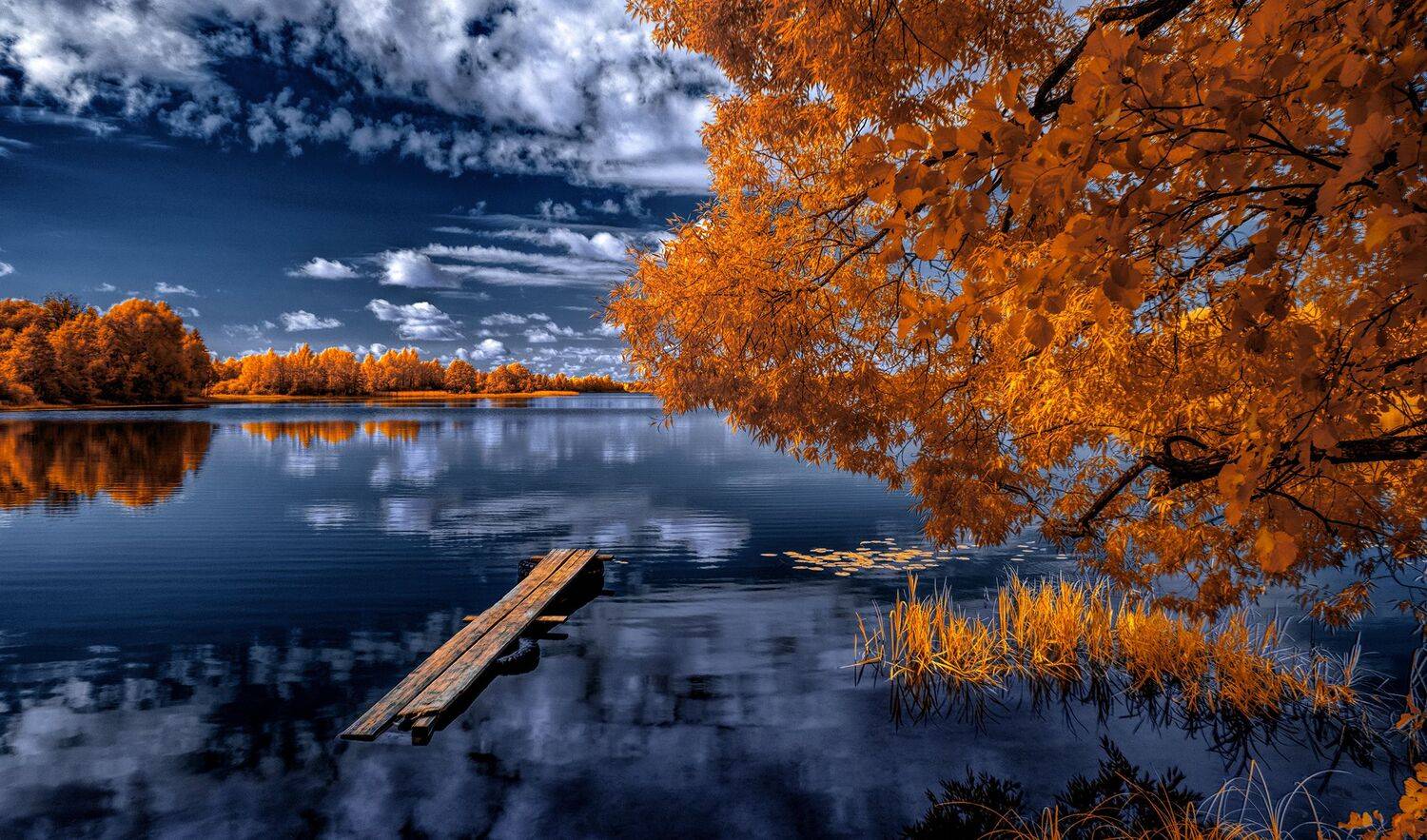 infrared,ик-фото,инфракрасное фото, инфракрасная фотография, пейзаж, лето,  Sixten (Сергей)