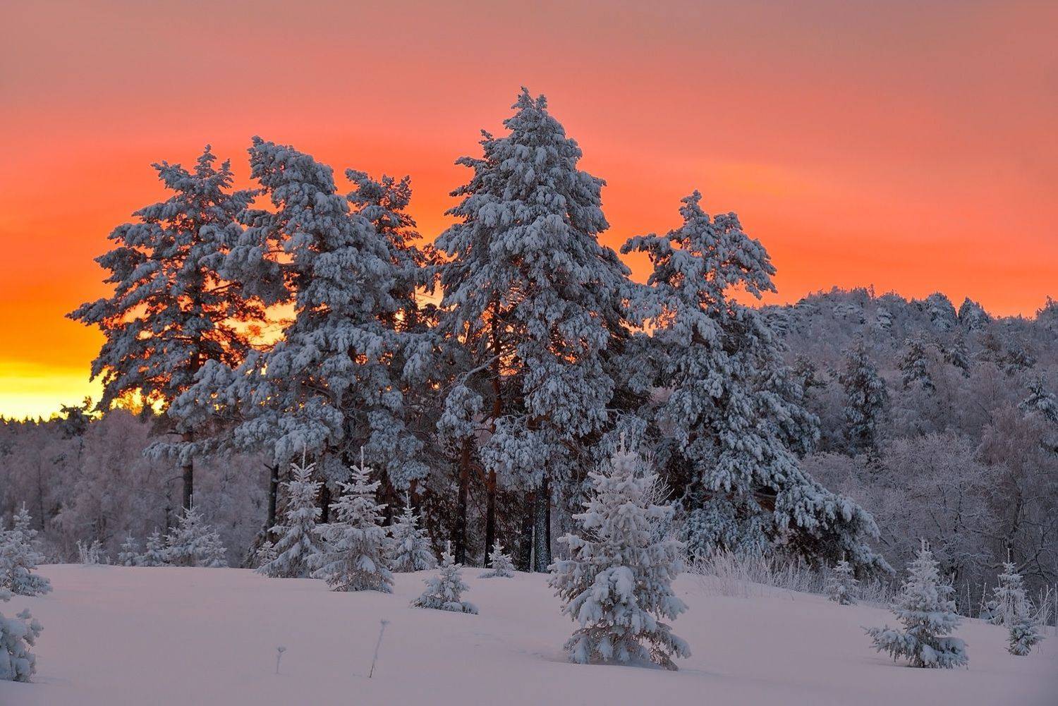 , Клековкин Алексей