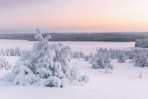 под снежным покровом
