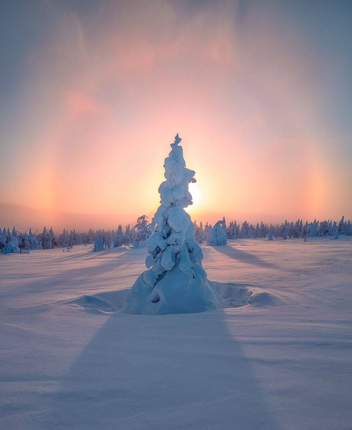 гух, Валерий Щербина (sv-phototravel.com)
