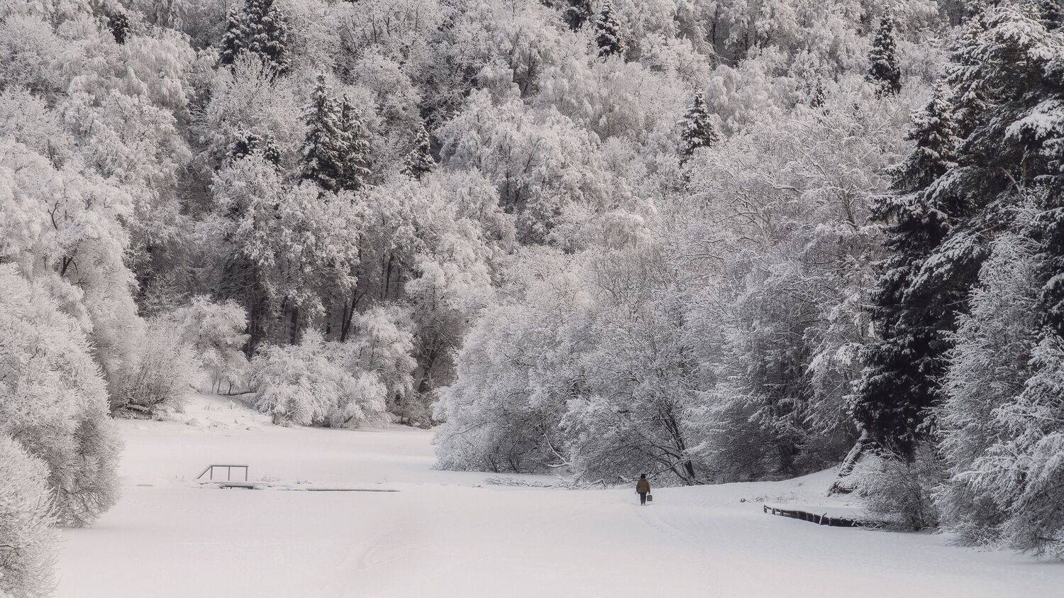 , Мозжухин Максим