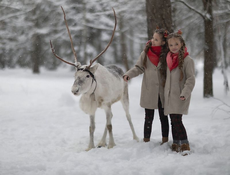 девочки,лес,сказка,олень, прогулка, эмоции, girls, reindeer, emotional, magic, winter, forest В гостях у сказки фото превью