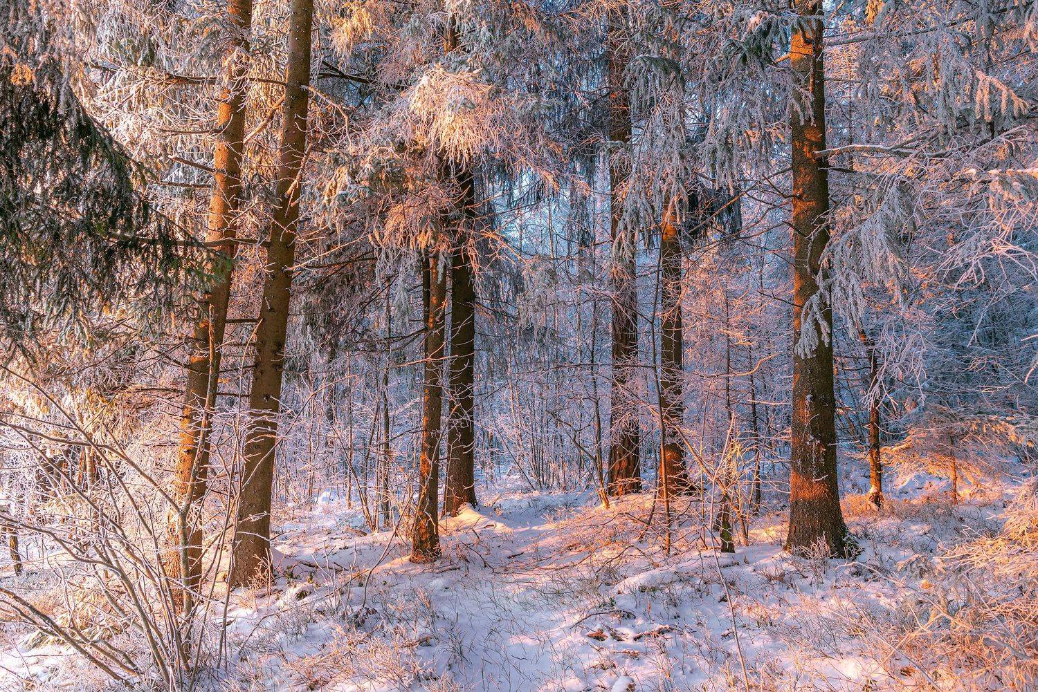 , Руслан Авдевич