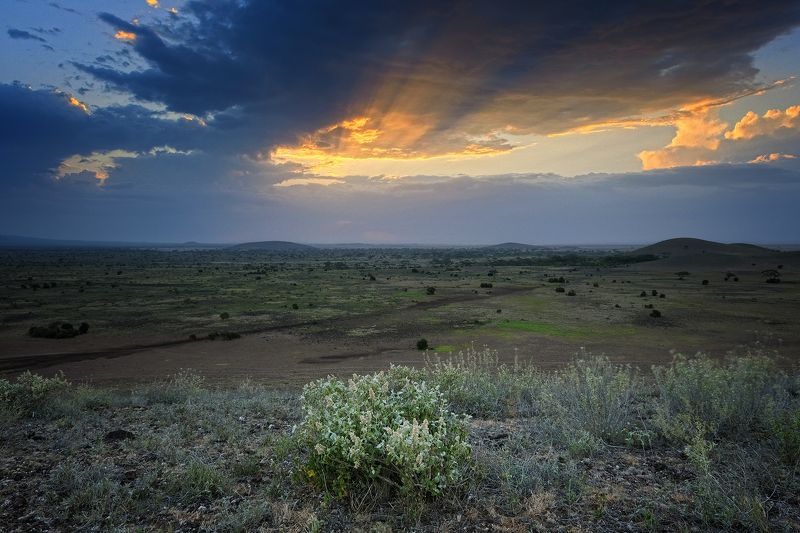Amboseli view фото превью