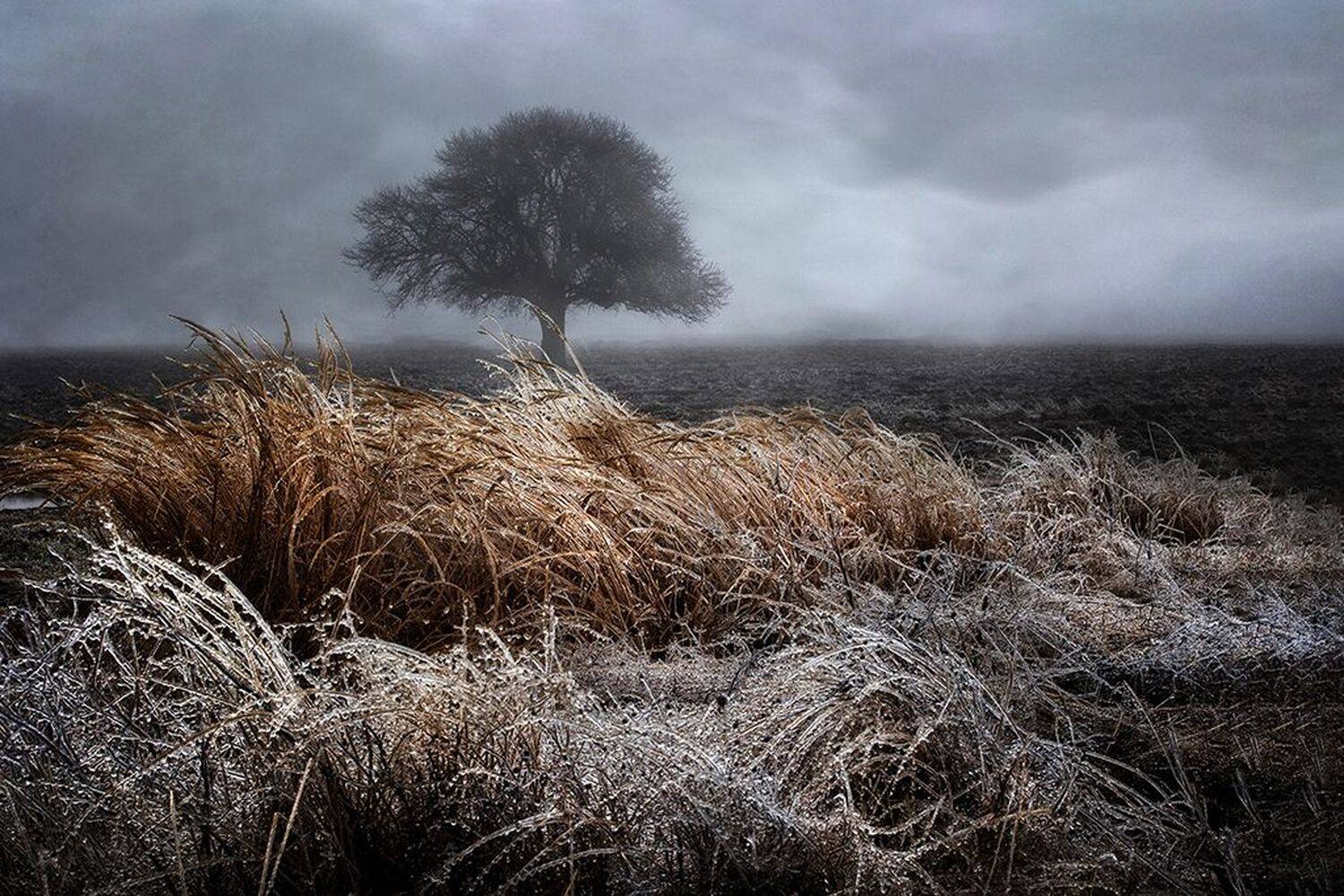 landscape, Rucsandra Calin