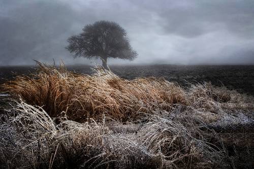 Fog rain and frost