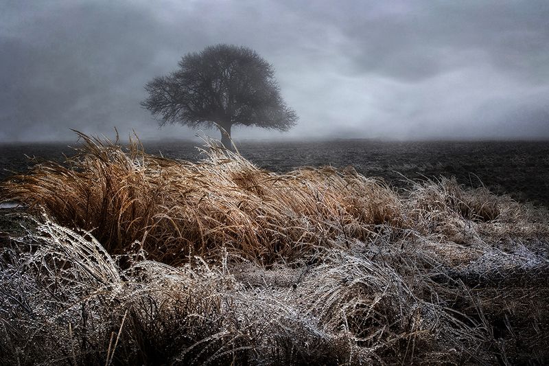 landscape Fog rain and frost фото превью