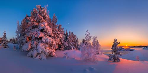 Новогоднее настроение.