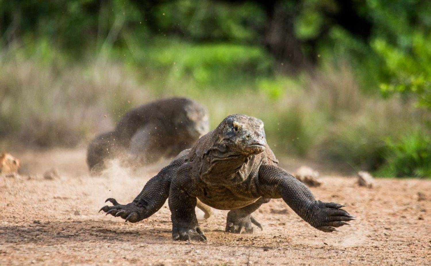 , Гудков Андрей