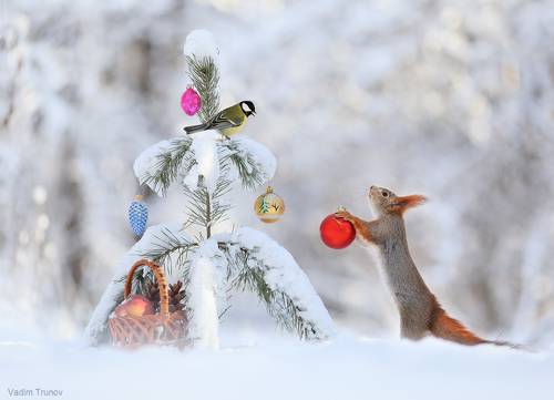 С Новым Годом!