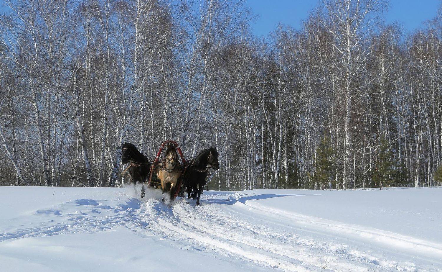 , Евгений Зинов