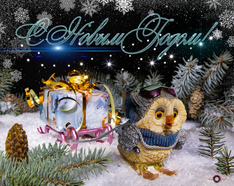 С Новым Годом, коллеги фотографы!!! фото превью