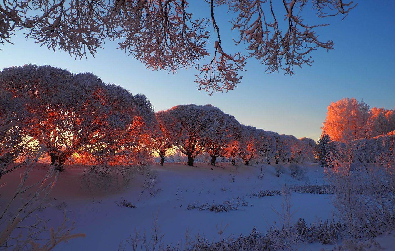 , Андрей Перешеин