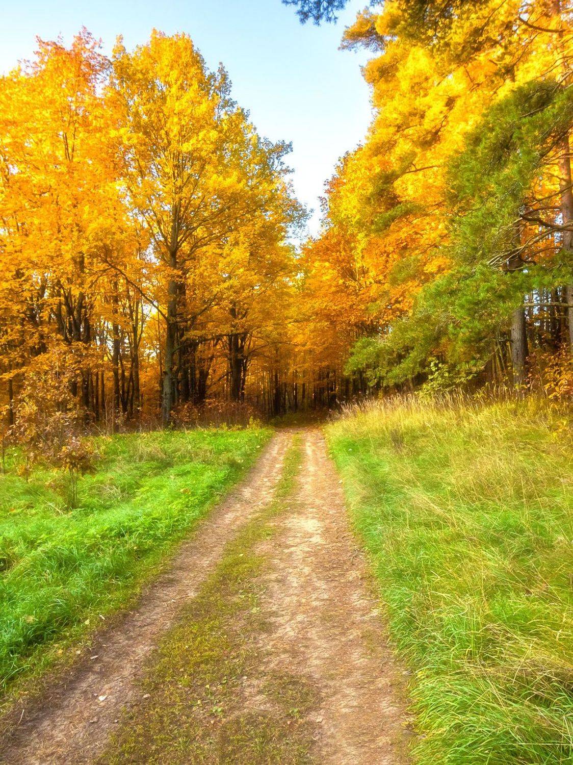 , Алексей Герасимов