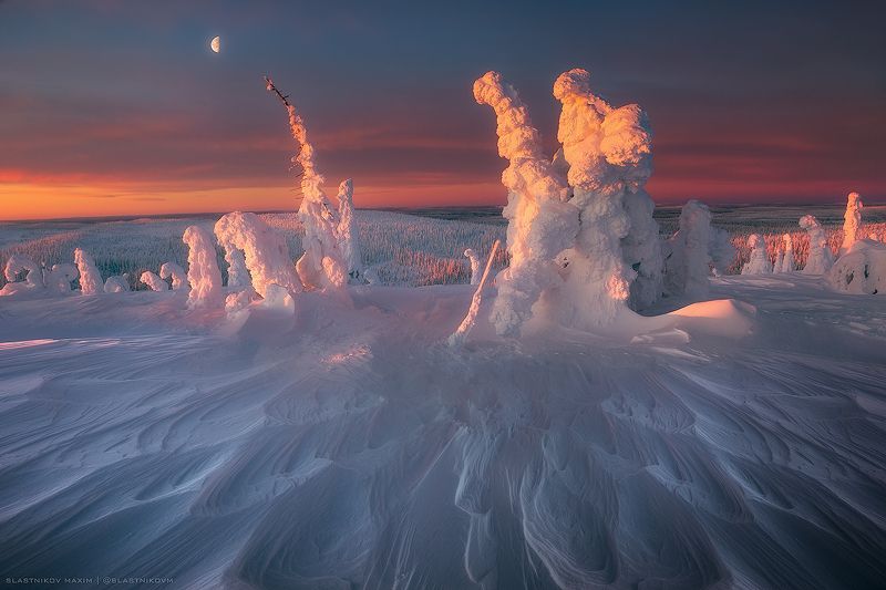 пейзаж, закат, солнце, снег, поле, лес, время, путешествия, дерево, холод, зима, ветер, снегопад, лапландия Лапландия фото превью