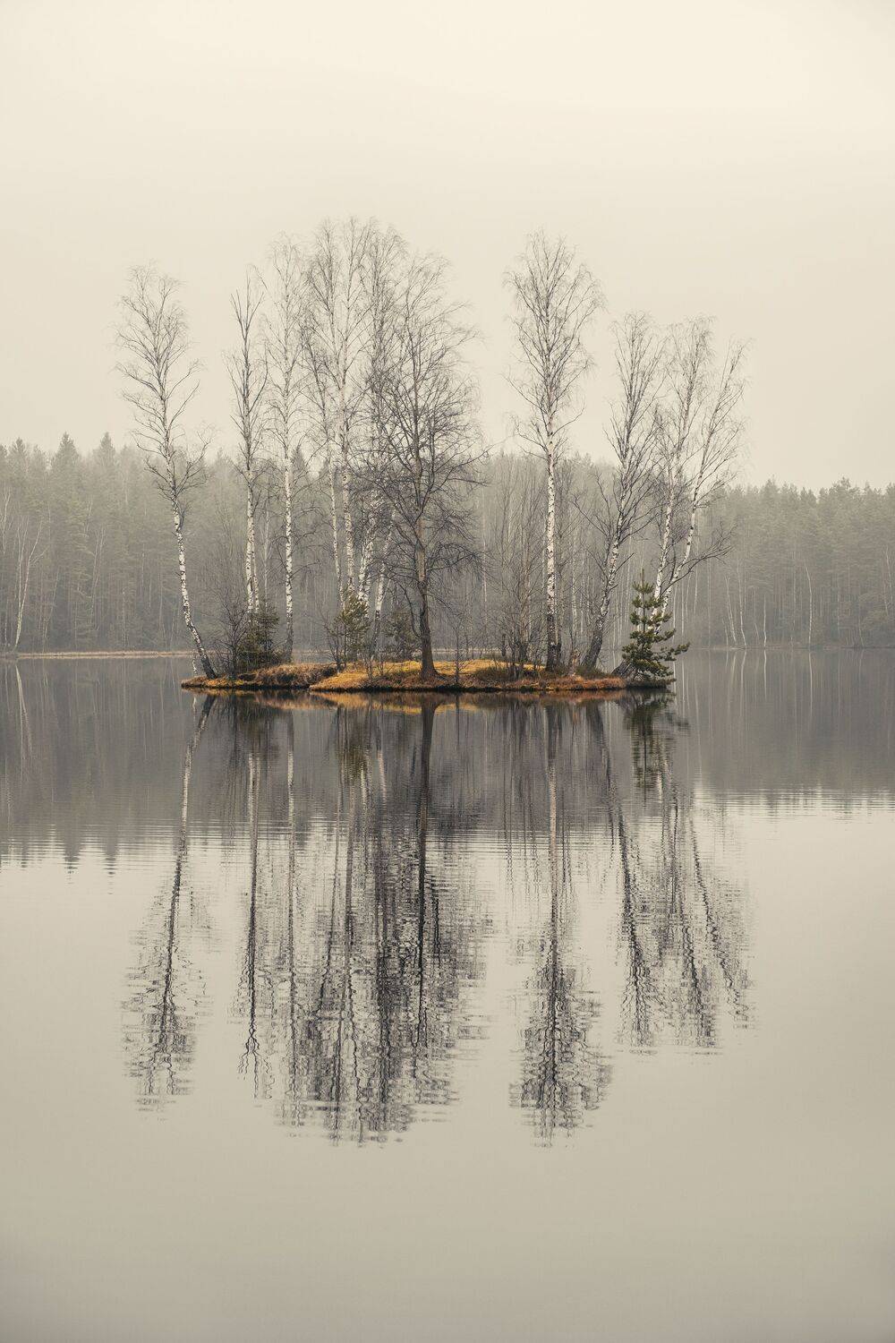 , Светлана Краюшкина