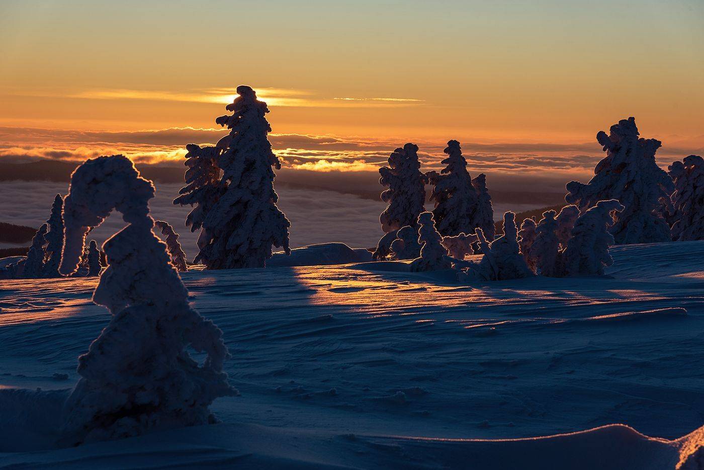 зима, рассвет, снег, кедры, пихты, иней, шерегеш, горная шория, Валерий Пешков