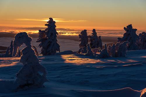 С Новым годом, Шерегеш!