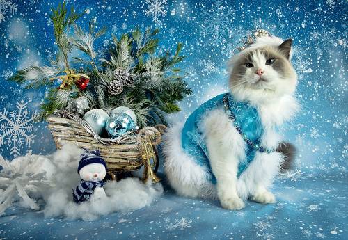 Матильда. Снегурочку - вызывали? Happy New Year!