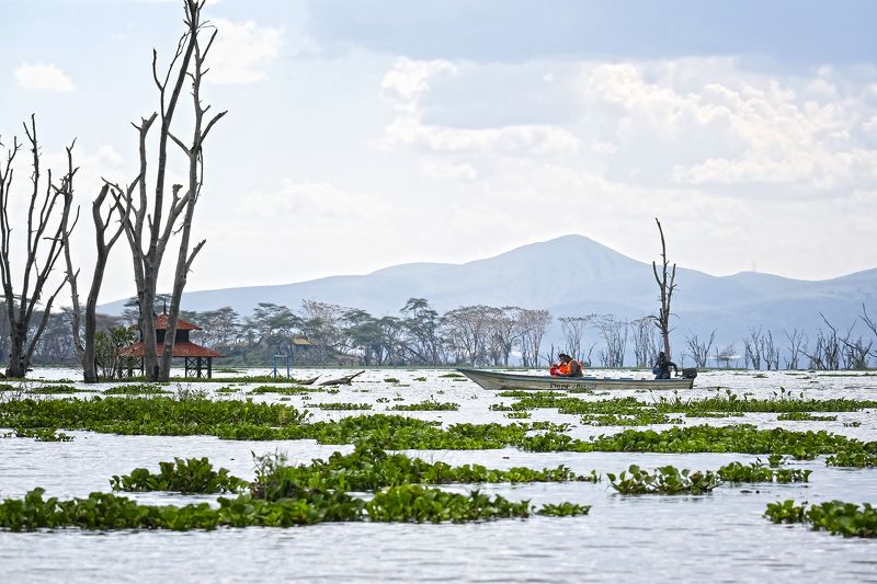 Naivasha lake фото превью