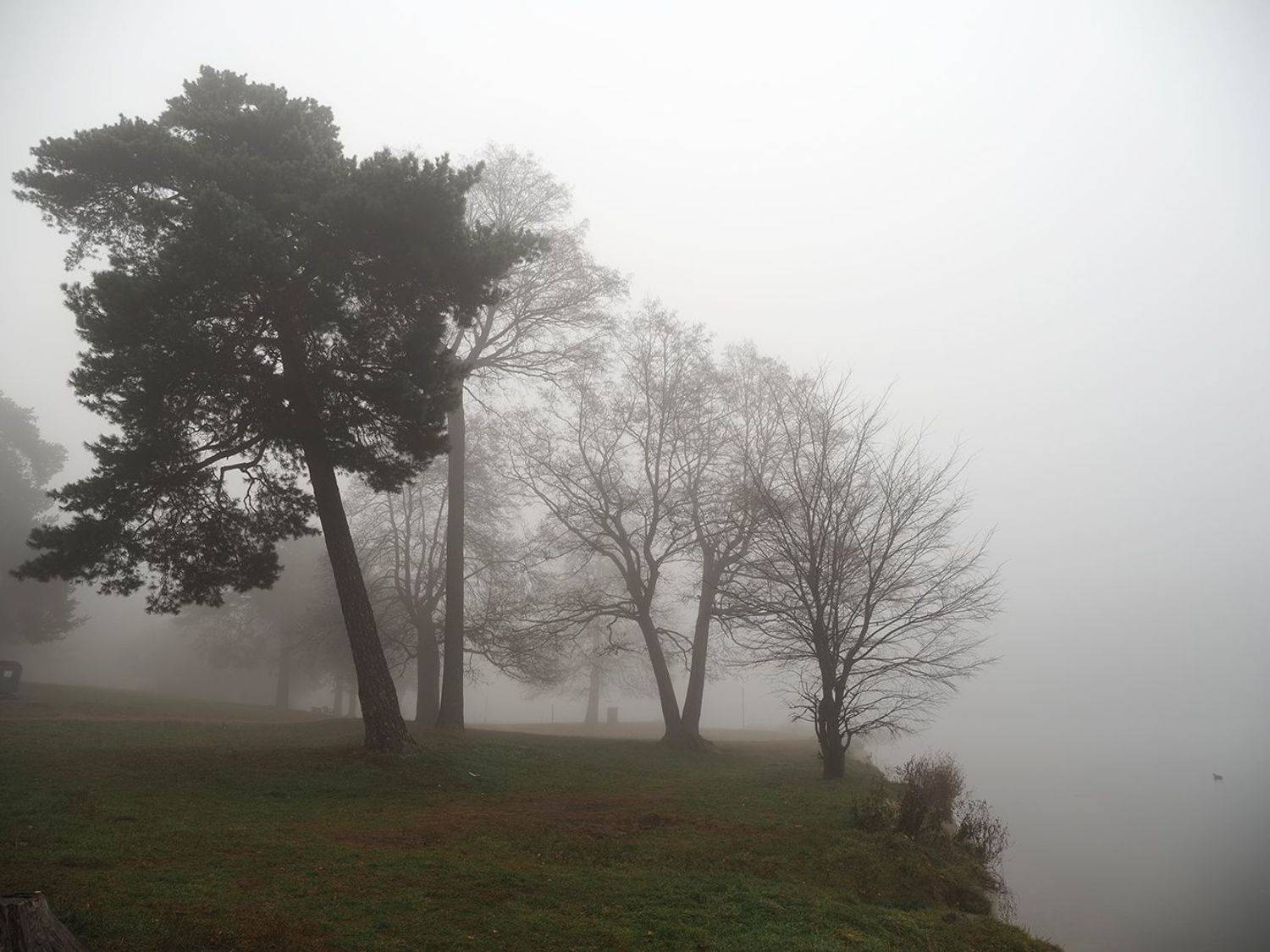 , Сергей Духанин