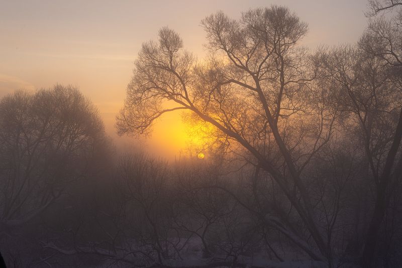 Солнечное утро фото превью