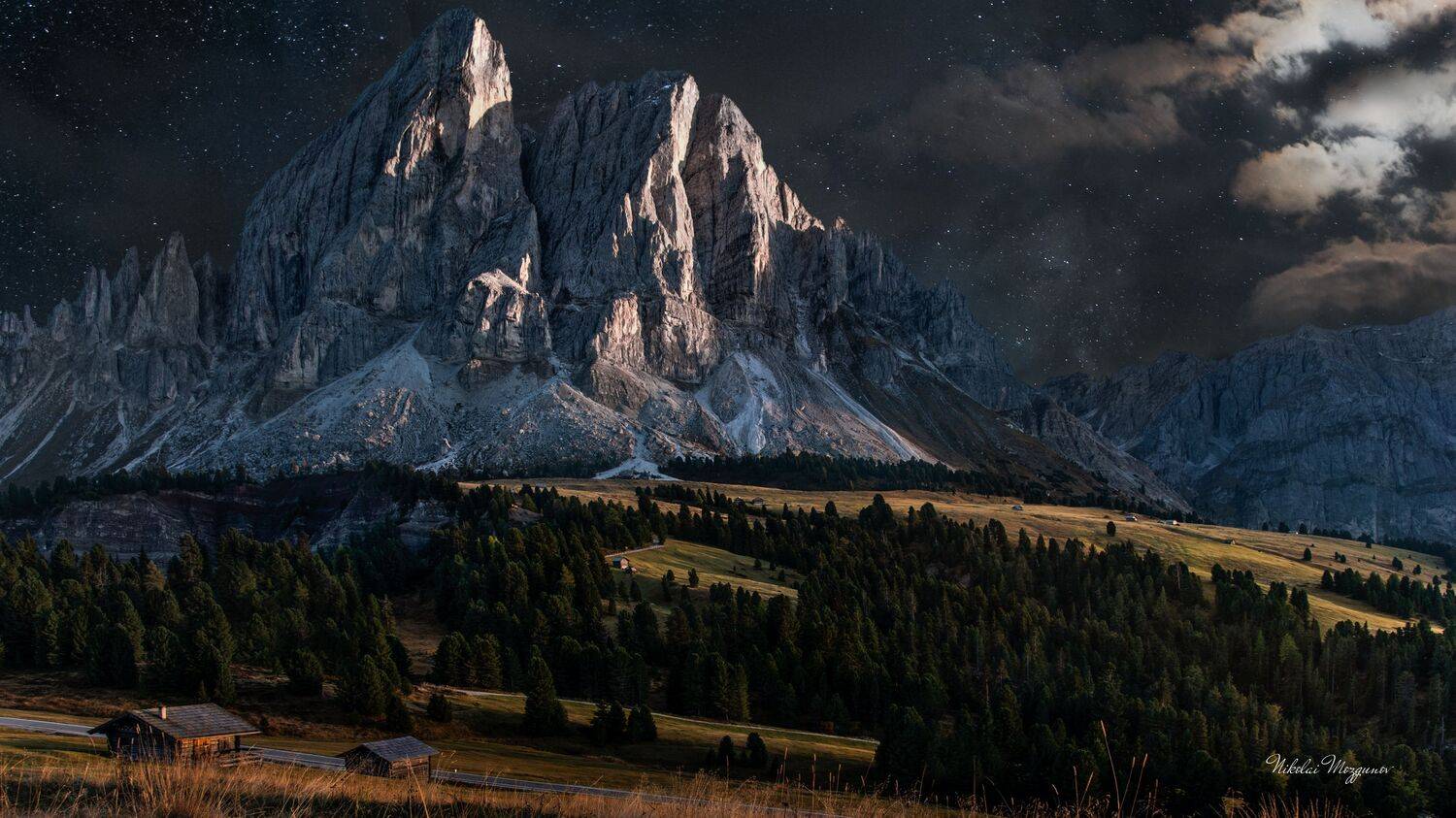 , Николай Мозгунов