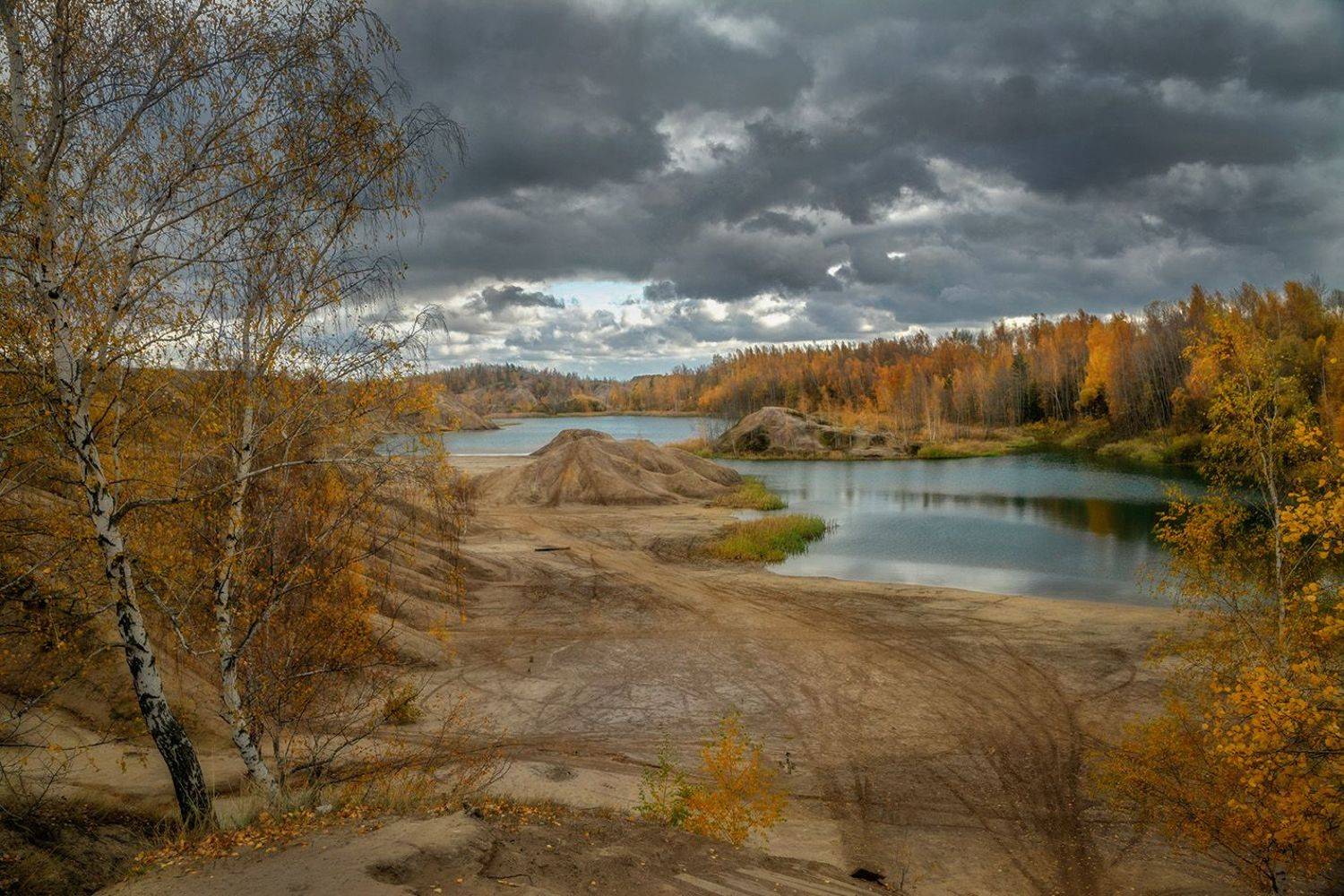 , Анатолий Зверев