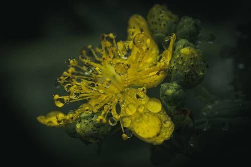 After rain