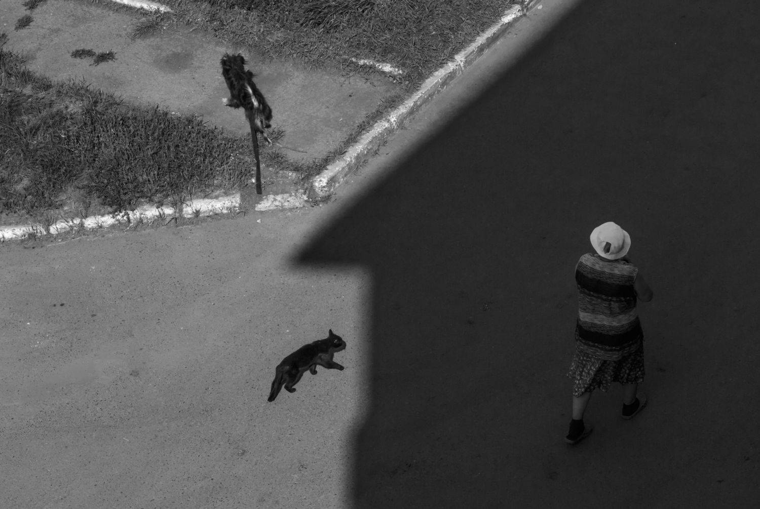 , Тамара Морозова