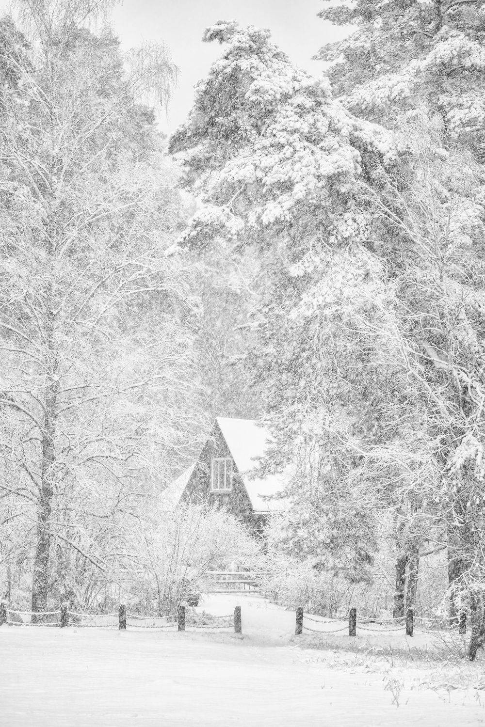 , Юлия Лаптева