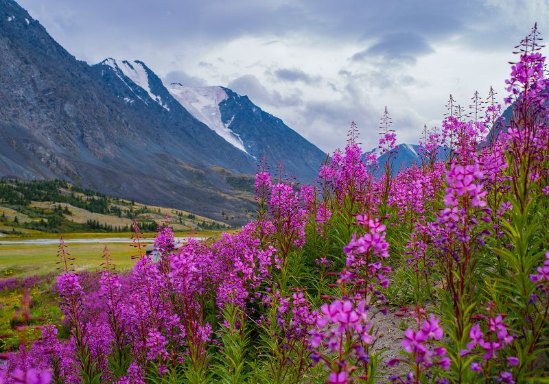 *** фото превью