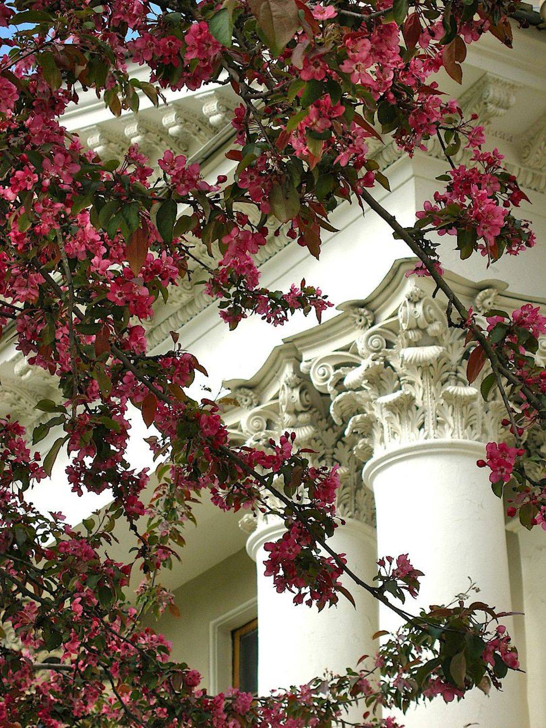 елагин дворец, Александр Зорин