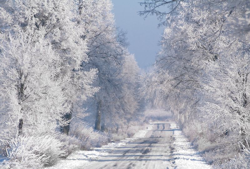 white road... фото превью