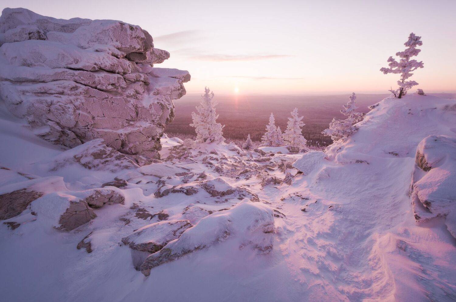 , Алексей Проняхин