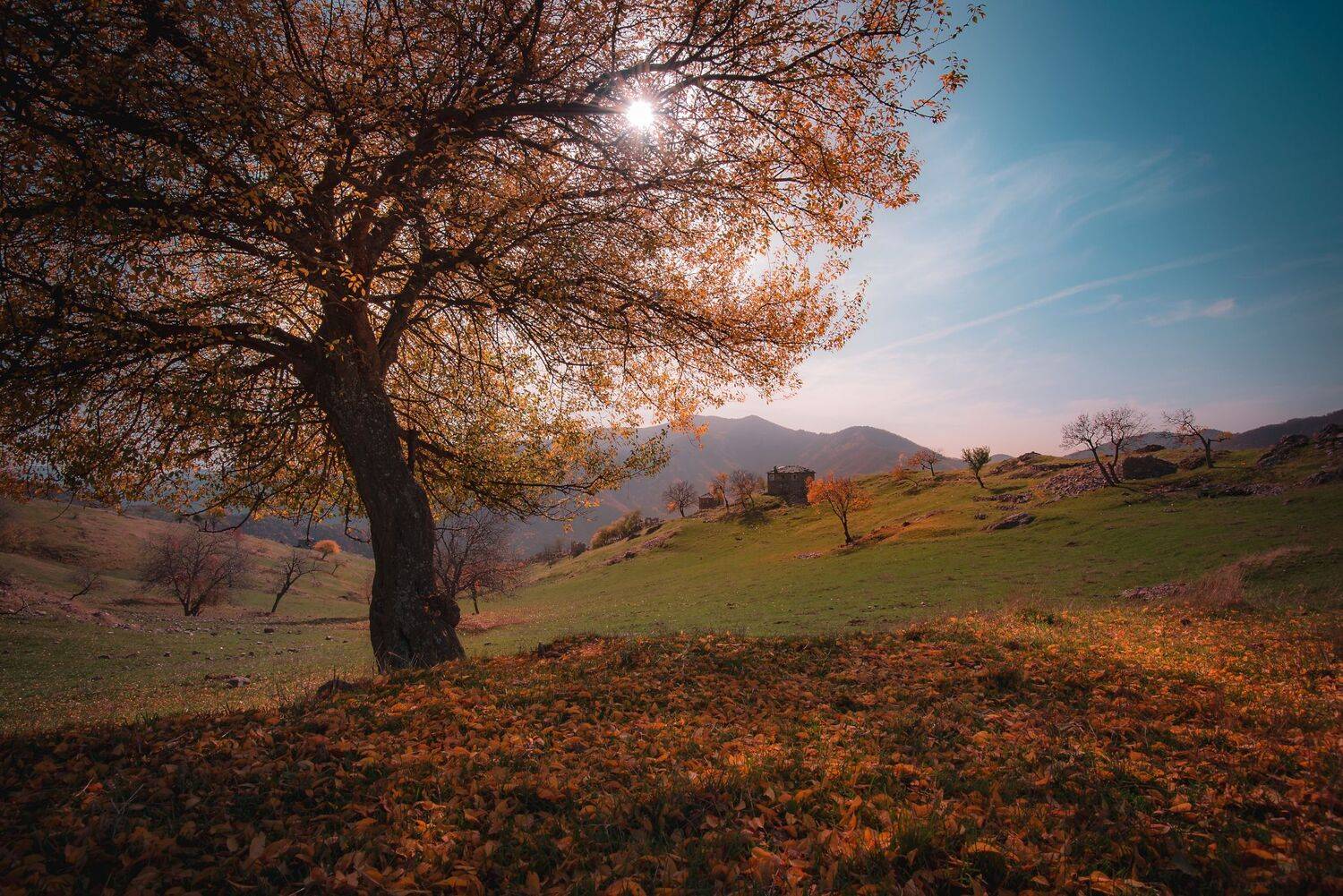 , Mariyana Atanasova - Lucero