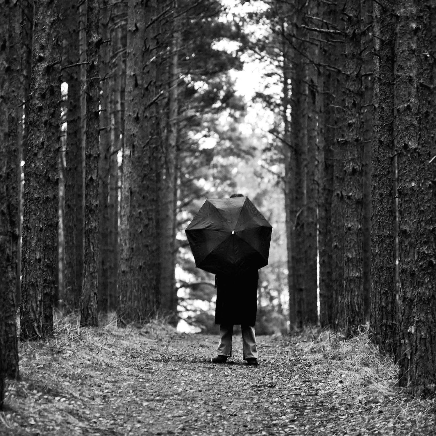 , Владимир Леликов-Кузьменко