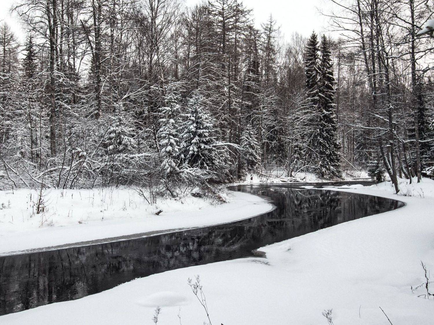 , Алексей Герасимов