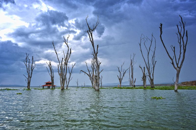 Naivasha lake фото превью