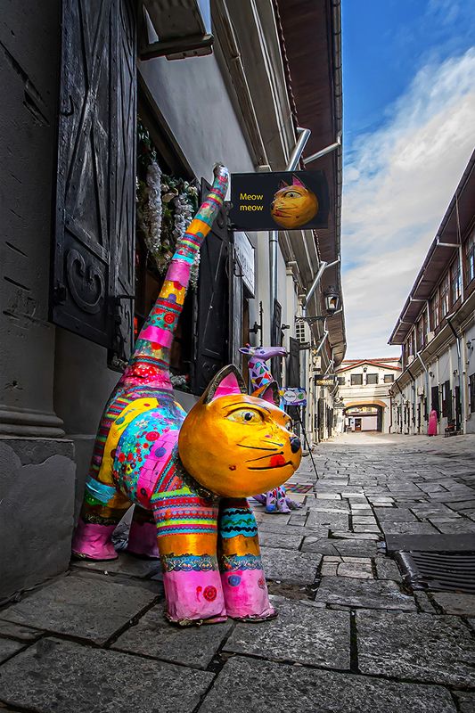 cityscape Bucharest, a beloved place фото превью